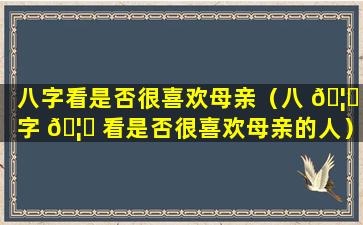 八字看是否很喜欢母亲（八 🦆 字 🦈 看是否很喜欢母亲的人）